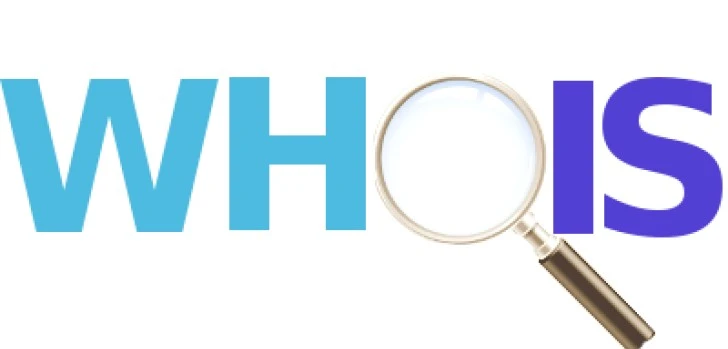 WHOIS Information is Crucial for Domain Name, How?