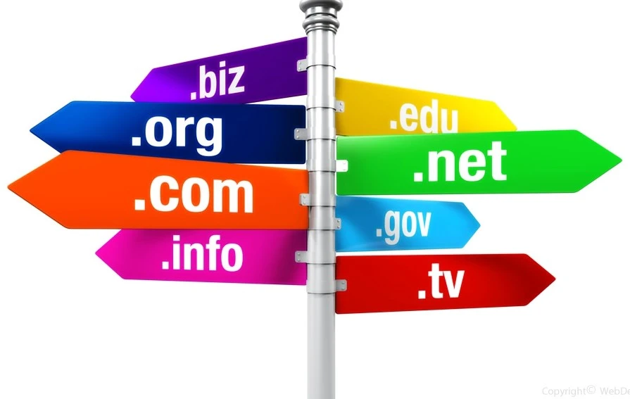 Domain Name Search process for your online business