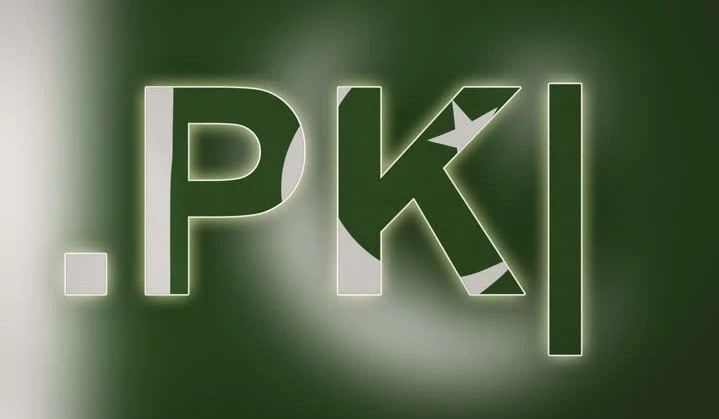 Life-changing facts about PK domain