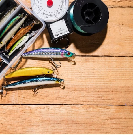 Destin Fishing Charters: Exploring the Best Fishing Experience in Destin, Florida