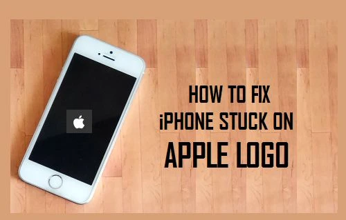 iPhone Stuck on the Apple Logo Screen? Here’s How to Fix it