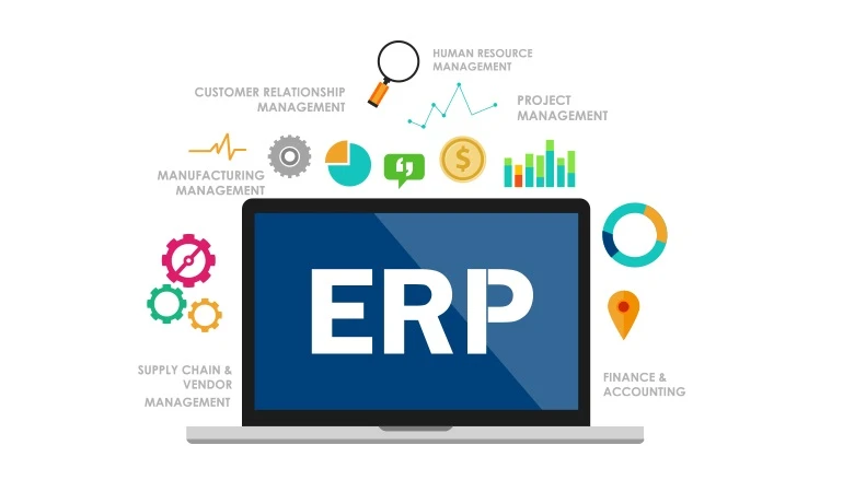 Why do companies need ERP management software?