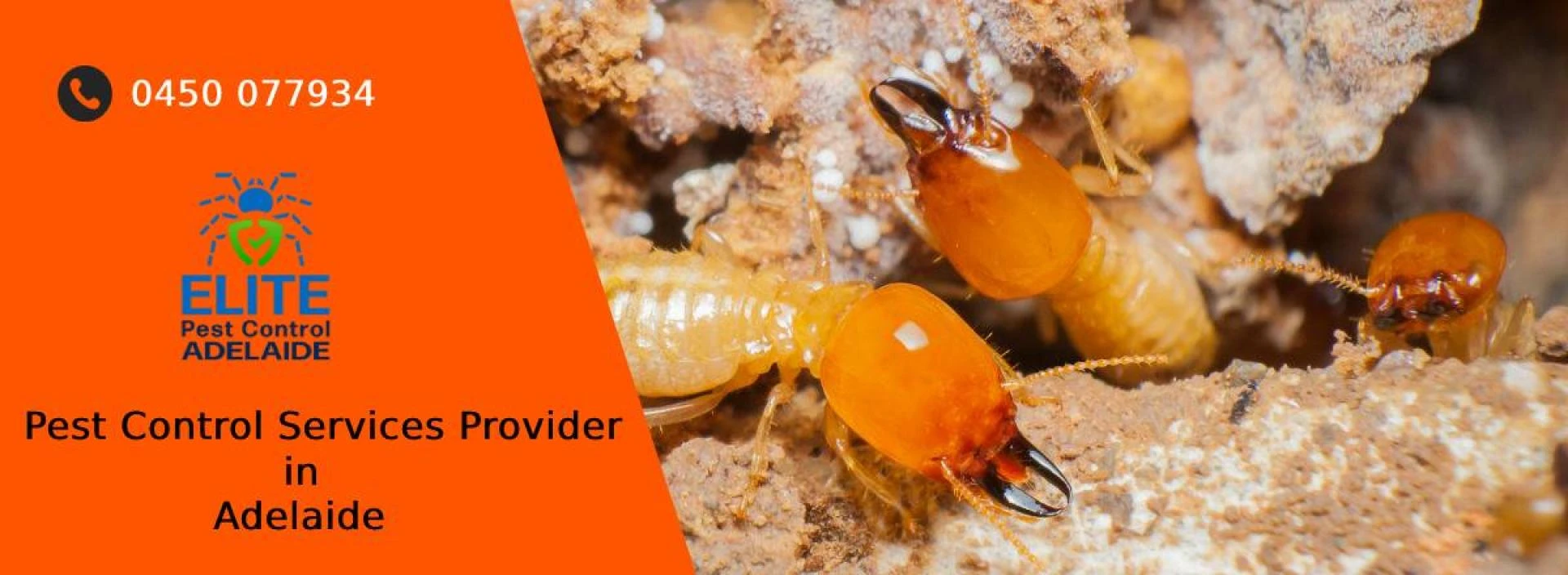Pest Control Adelaide