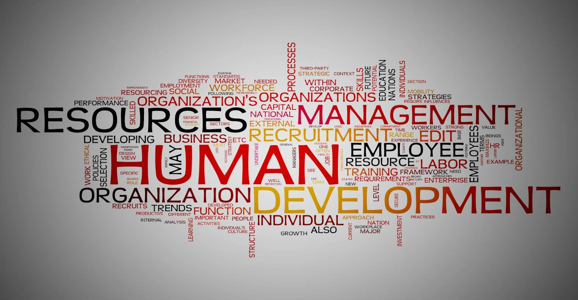 Best Human Resource Management Consulting | Learning &amp; Development
