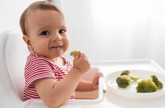 Introduction of Solid Foods to Toddlers By Dr. Peeyoosh