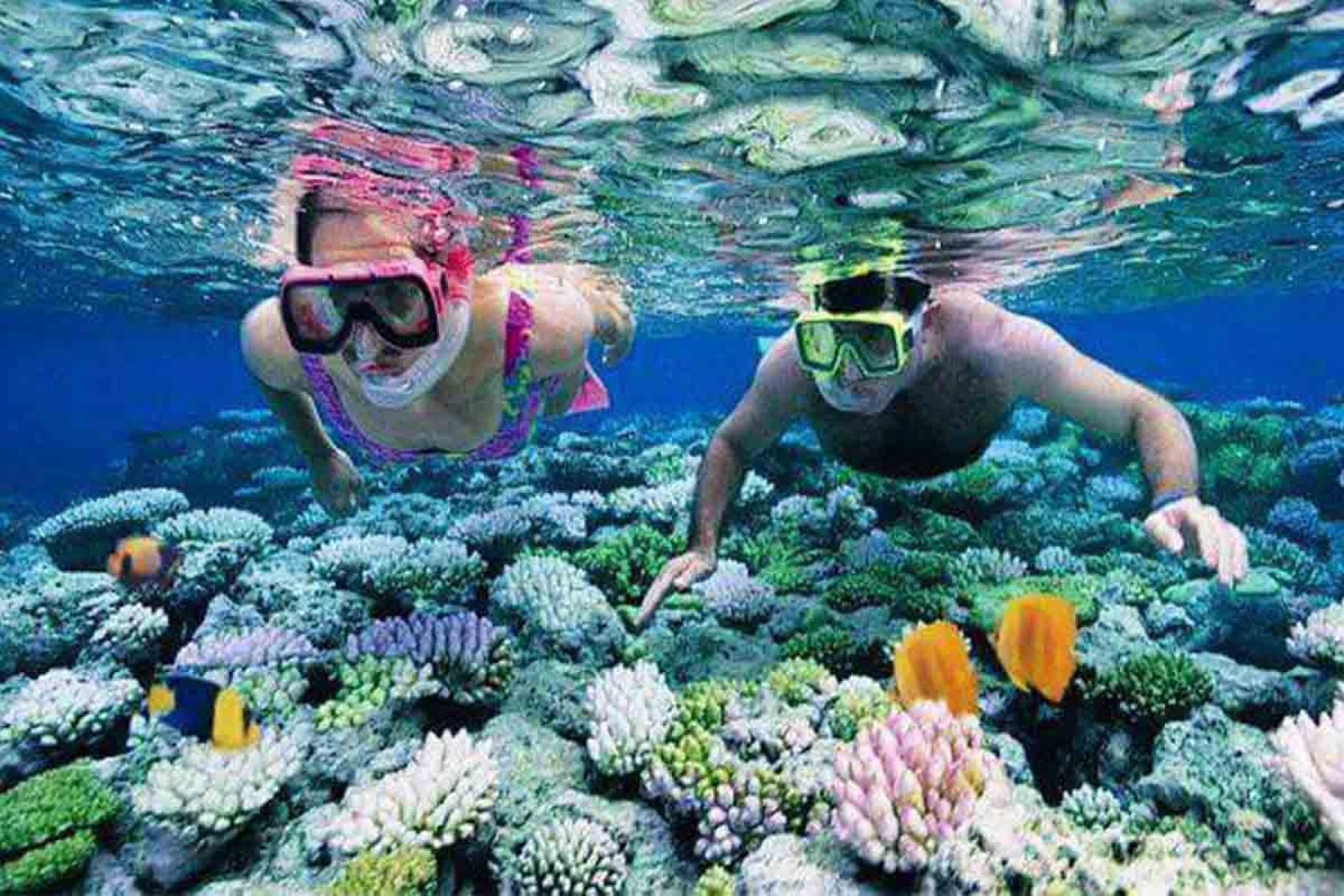 Andaman tour package