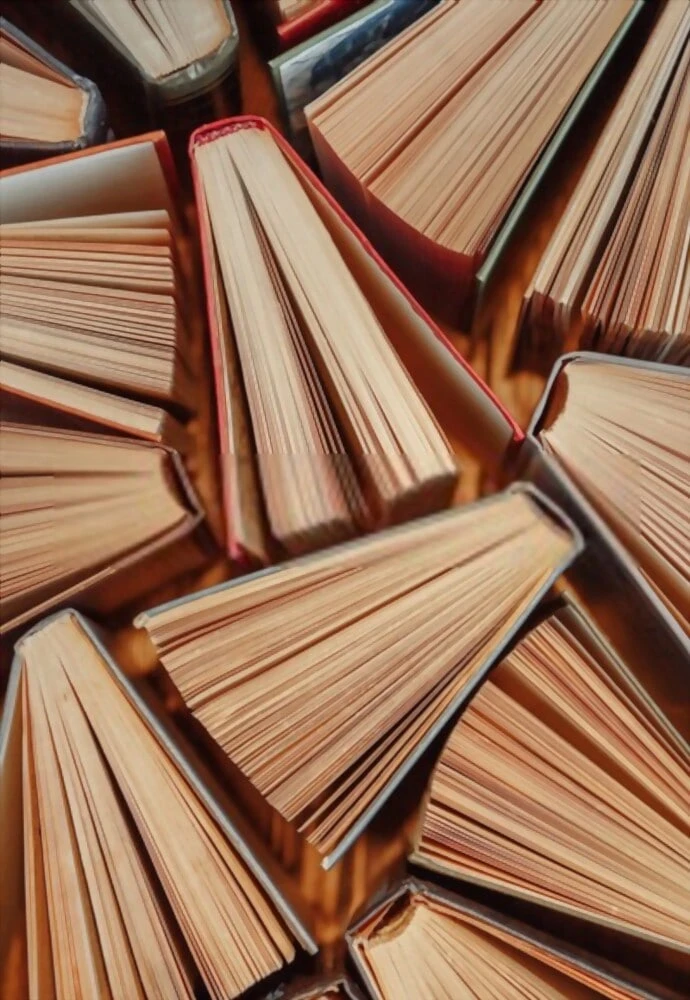 Indian Writer in English