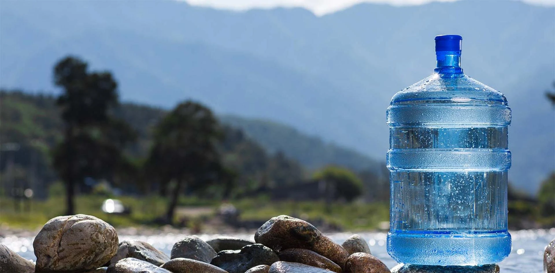 Bottled Water Boom: A $502 Billion Market Unveiled: Trends, Growth, &amp; Top Players