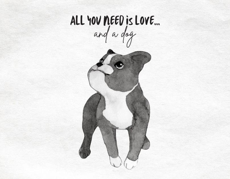 Boost Your Dog's Health and Mobility with Supplements and Joint Support