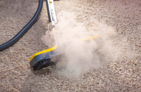 Carpet Steam Cleaning and How it Affects You and Your Family