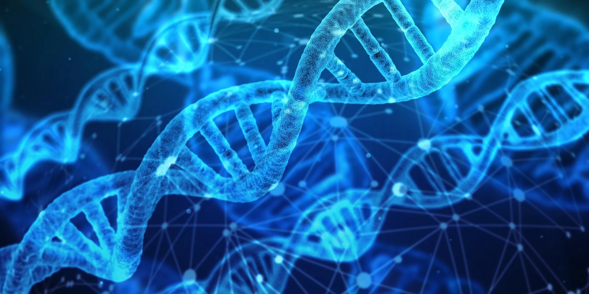 What is in a DNA