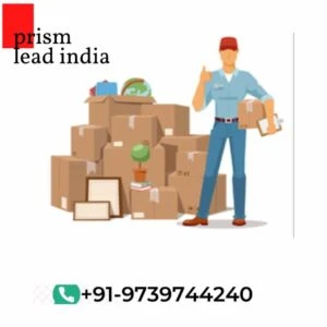 Professional Domestic Packers And Movers Bangalore