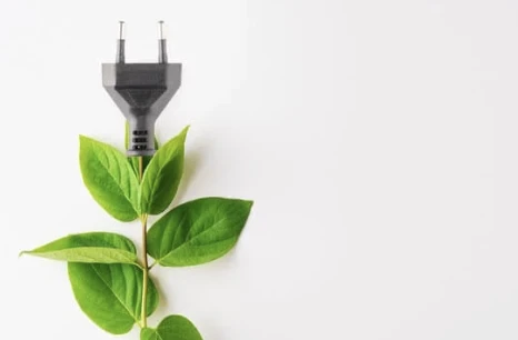 The Role of Renewable Energy Credits in Corporate Social Responsibility