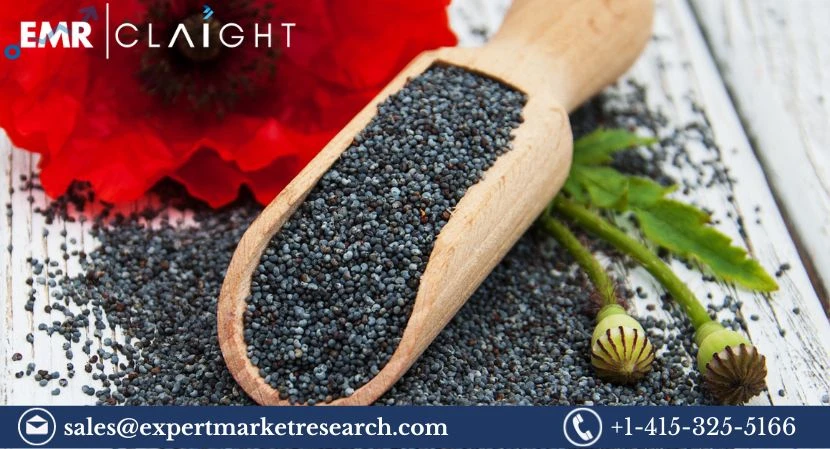 Growth of the Global Flower Seed Market (2024-2032) – A Comprehensive Analysis