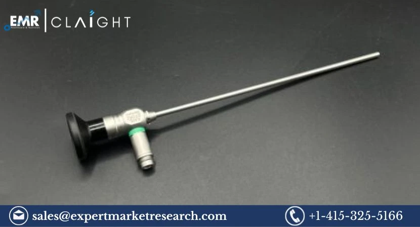 Global Sinuscopes Market Size, Share, Growth, Analysis, Report, Forecast 2024-2032