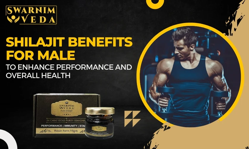Shilajit Benefits For Male: To Enhance Performance And Overall Health
