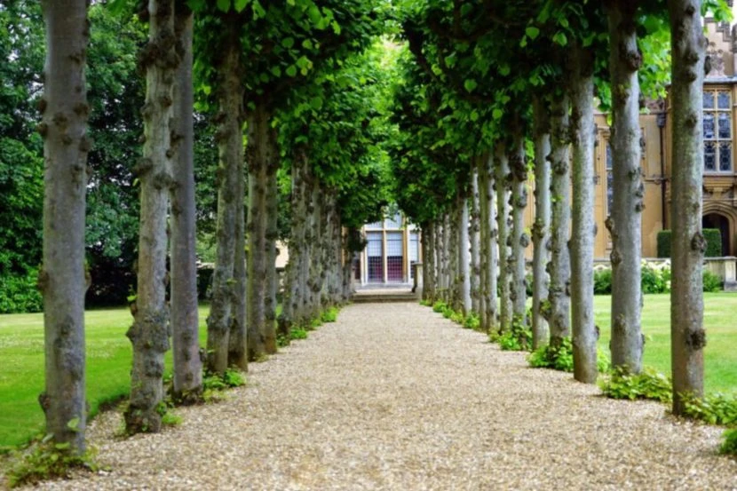 Pu La Deshpande Garden - 6 Facts that make it a must-visit |