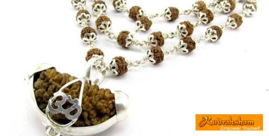 "Is Rudraksha good with silver? | Which Rashi should wear Rudraksha mala?