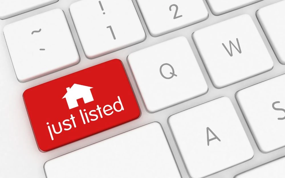 Dominate the Marketplace with Amazon Listing Expert Strategies