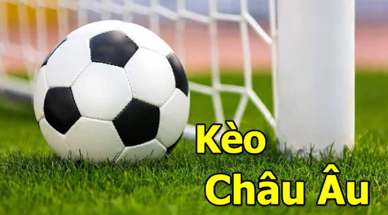 Kèo Châu Âu là gì? Giải thích kèo Châu Âu dễ hiểu nhất