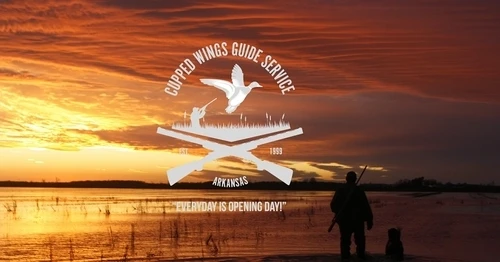 Duck Hunter's Paradise: Discovering Arkansas with Cupped Wings Guide Service