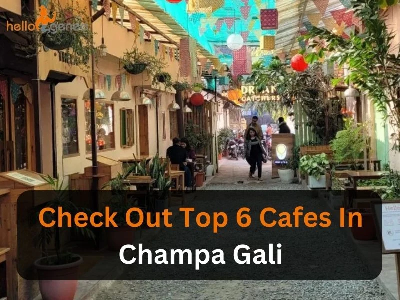 Check Out Top 6 Cafes In Champa Gali For A Perfect Hangout