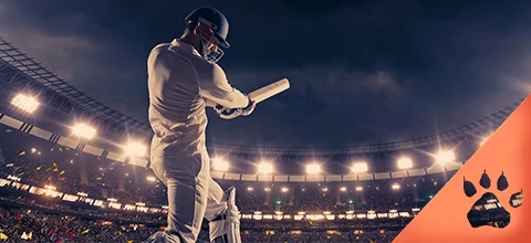 How to place effective cricket bets
