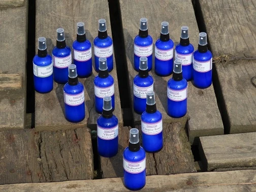 Your Ultimate Guide to Peppermint Spray for Rodents