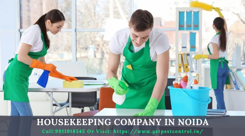 What Can You Expect From Housekeeping Company in Noida?