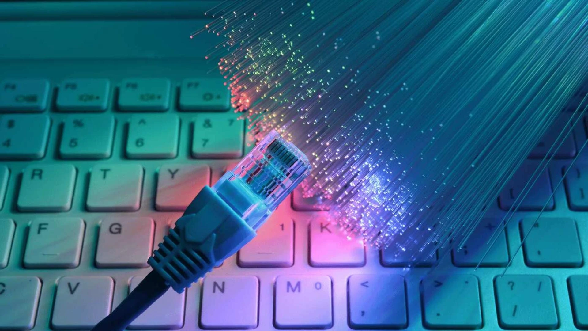 Revolutionize Connectivity: Data, Fiber Optic &amp; Structured Cabling Guide