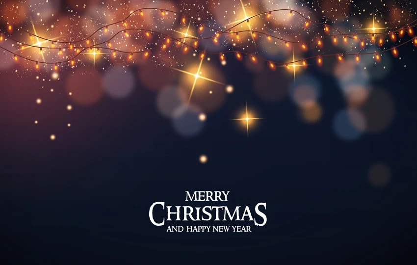 Merry Christmas and Happy New Year!