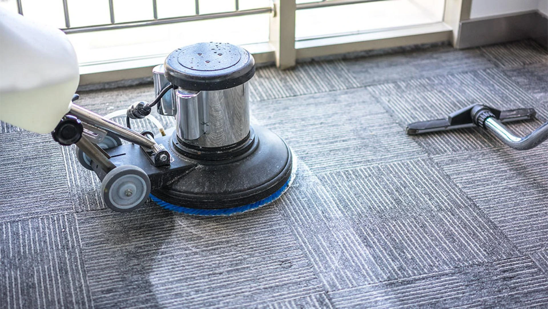 Navigating Carpet Cleaning Options in NYC: What You Need to Know
