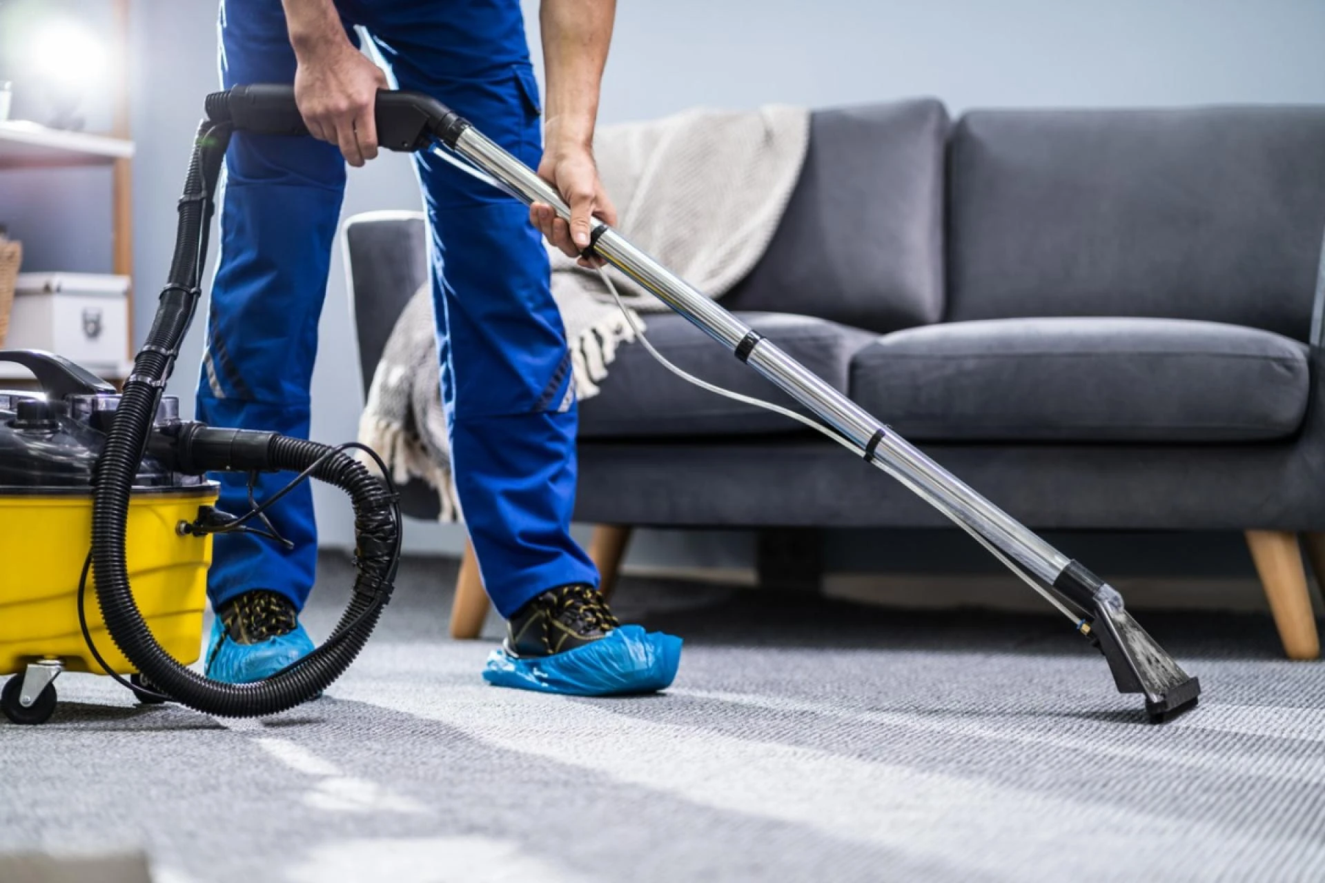 Clean Master Carpet Cleaning Adelaide