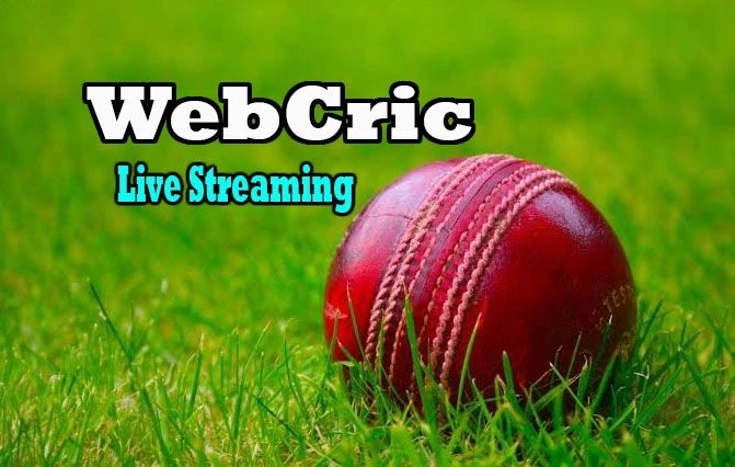DD Sports Live Streaming: How To Watch T20 World Cup 2022 Live Streaming In India?