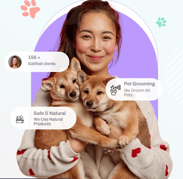 Why is Dog Grooming in Dubai Important? An overview by Snoopy Pets Care.