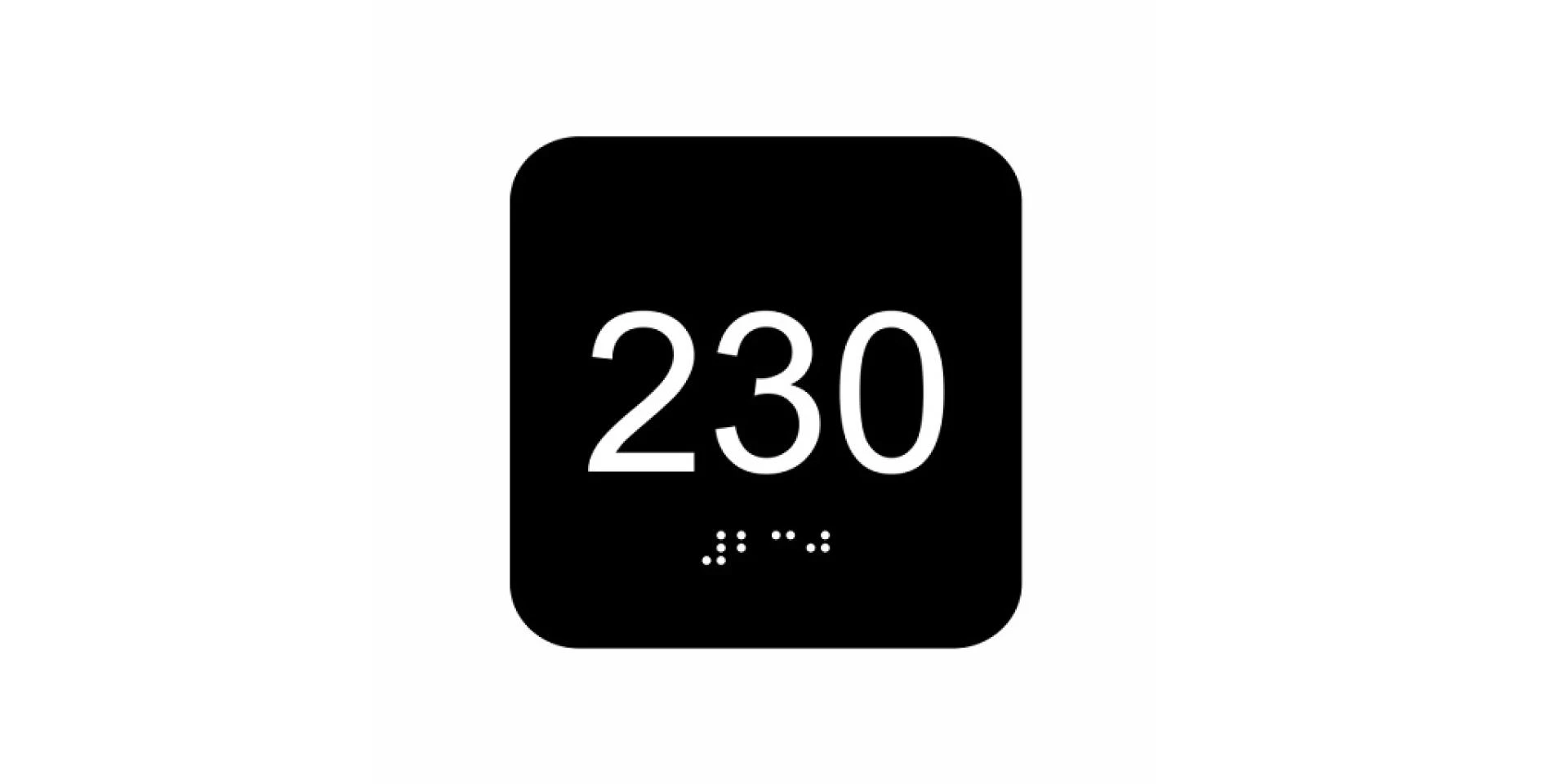 Ensuring Accessibility for the Visually Impaired in Public Places: Some Key Points