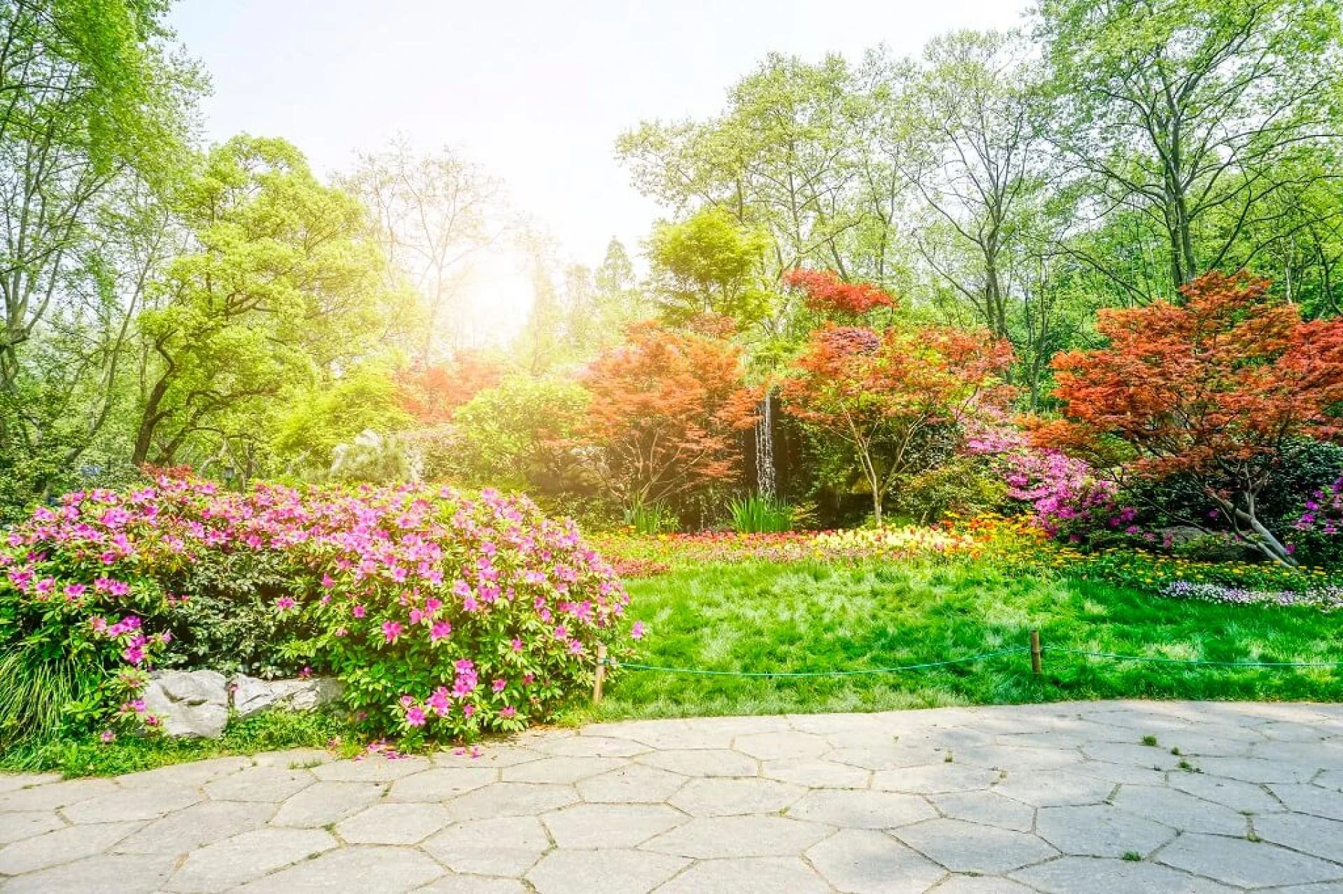 Transform Your Outdoor Space With Premier Landscape Horticulture Services