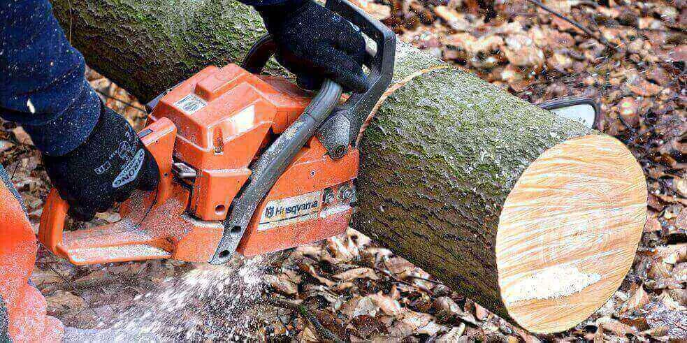 Get Your Trees in Shape with Our Expert Tree Pruning Hedging Services