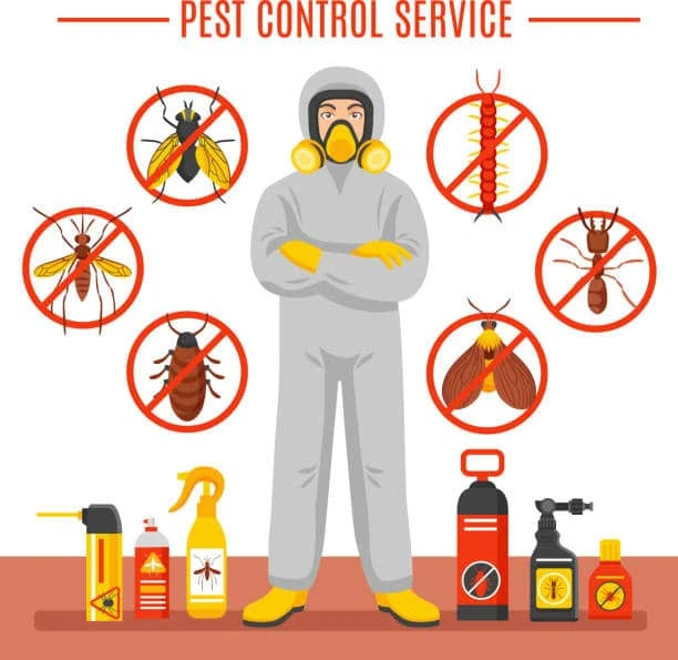 How to Choose a Pest Control Service Provider?