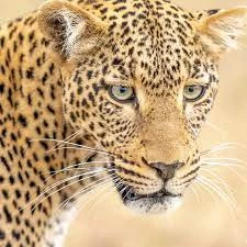 Amazing Tanzania and Zanzibar holidays