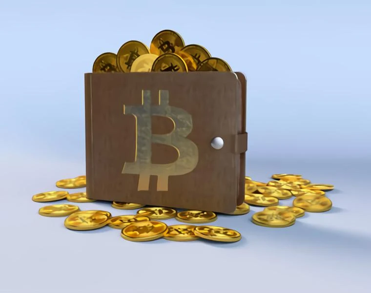 Custom make your crypto wallets in a jiffy with a cryptocurrency development company