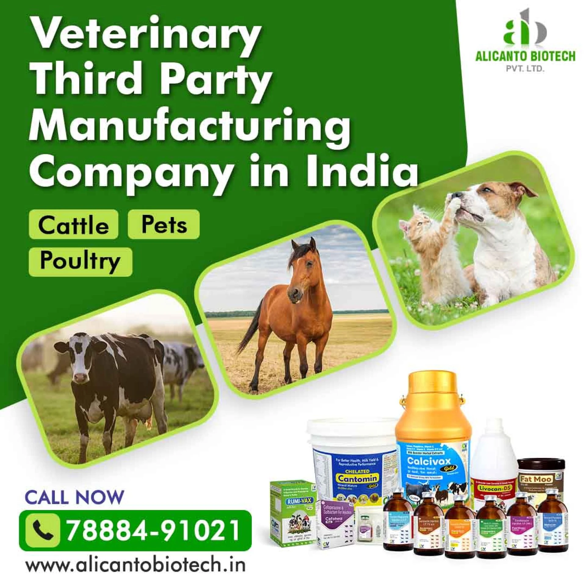 Veterinary Third Party Manufacturing Company in India