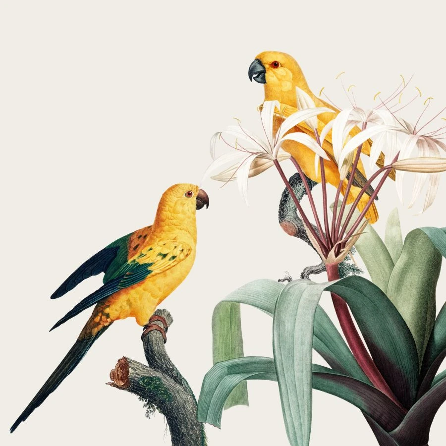 Art Alchemy: The Magic of Bright and Bold Animal Artwork!