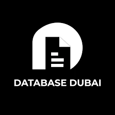 Exploring the Top Database Providers in the United Arab Emirates"
