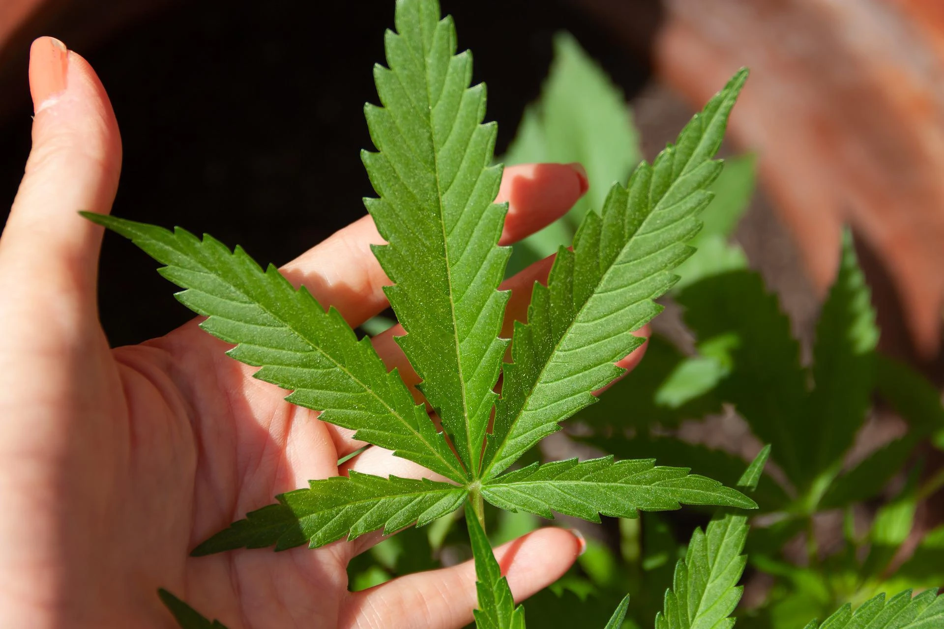 How Can the Use of CBD Products Benefit You?