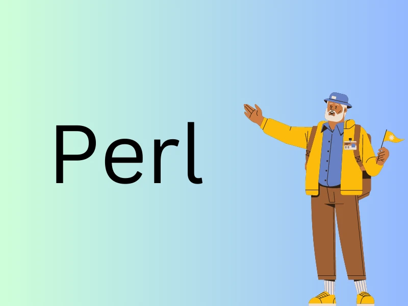 A Small Guide to Perl