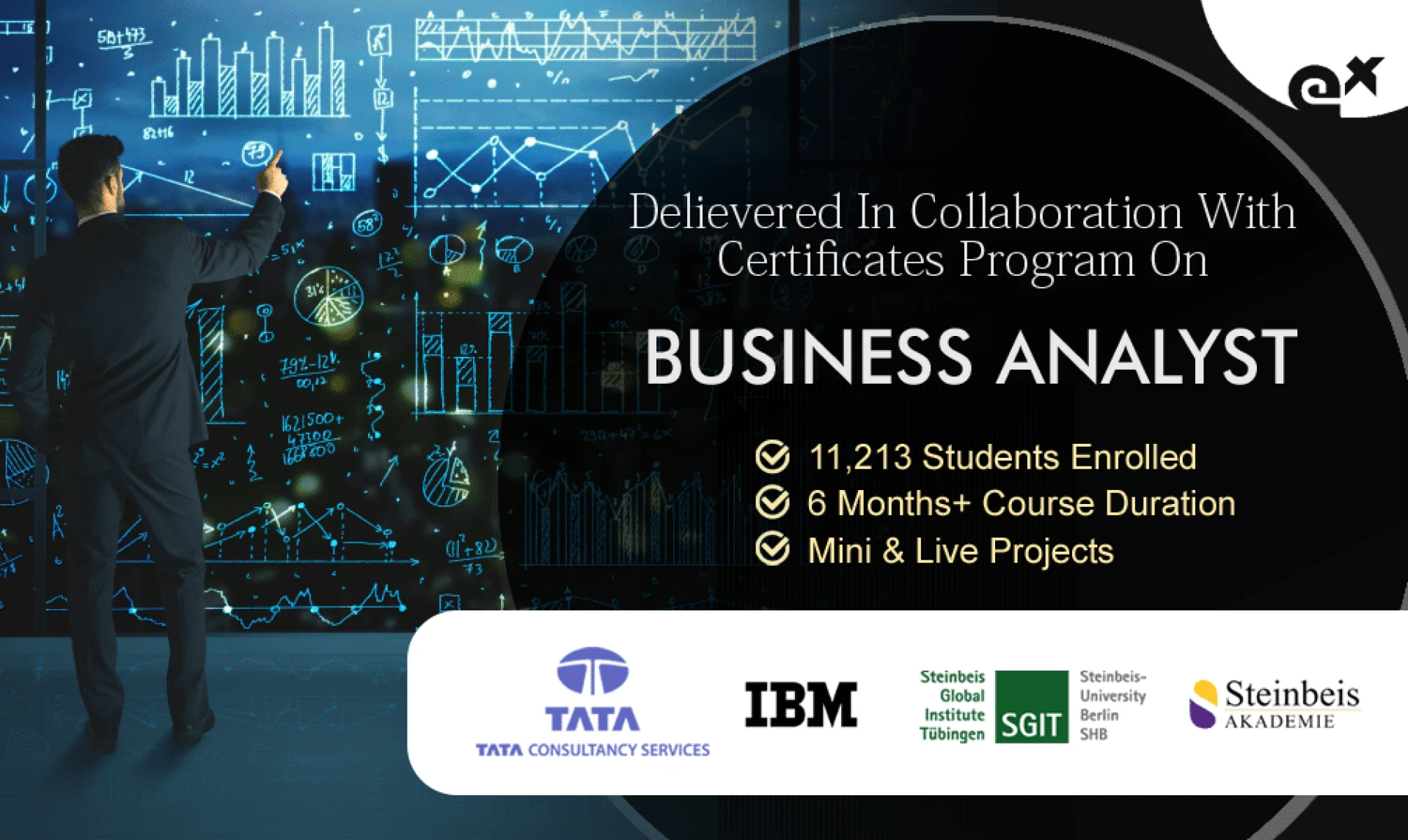 Educational Programming Training Business Analyst Course