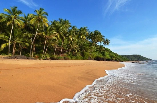 Top 5 Places to Visit in South Goa 