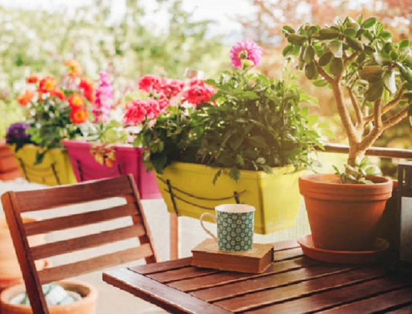 How to Decorate your Small Home to look Expensive with affordable price.