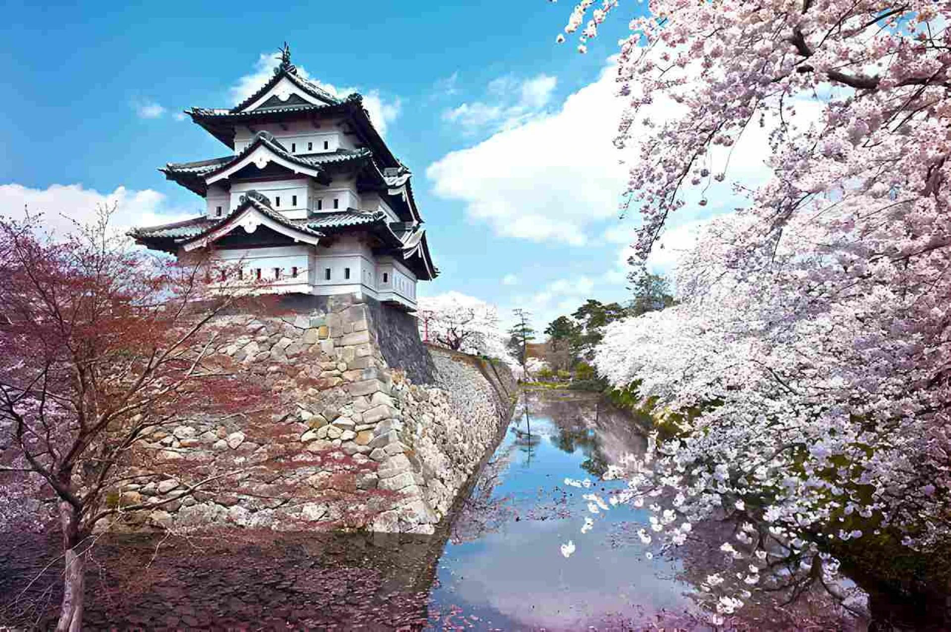 From Anime to Sumi-e: A Guide to Engaging with Japanese Art